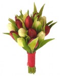 15 szálas tulipán